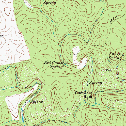 Topographic Map of Red Camp Spring, TX