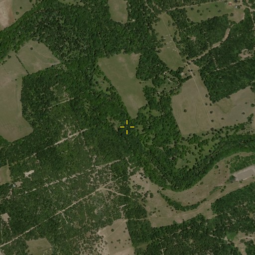 Aerial/Satellite Image of Ryan Branch, TX