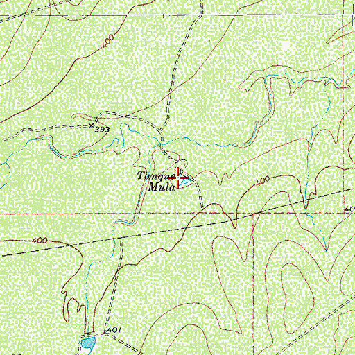 Topographic Map of Tanque Mula, TX