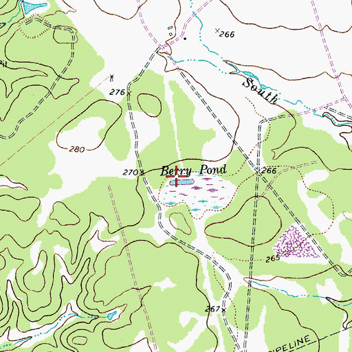 Topographic Map of Berry Pond, TX