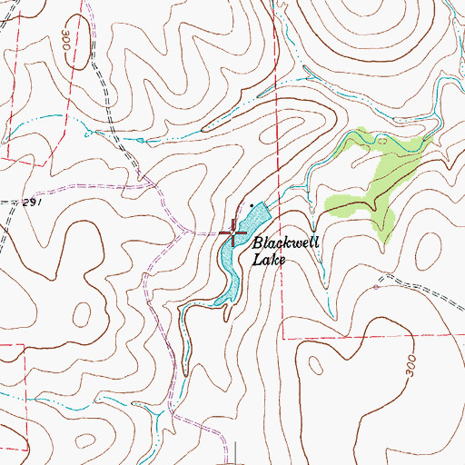 Topographic Map of Blackwell Lake, TX