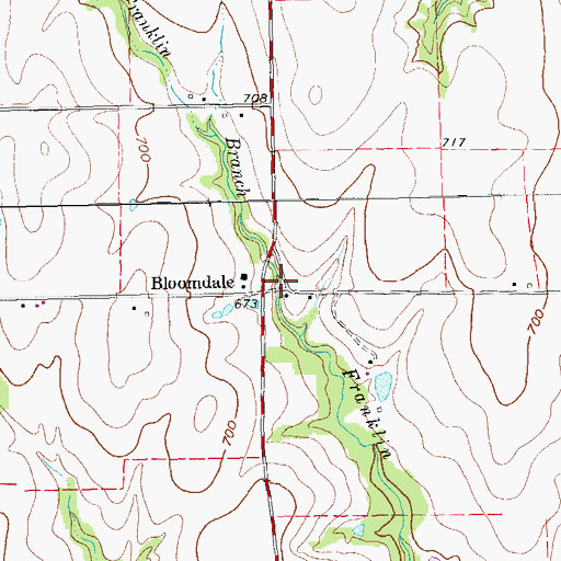 Topographic Map of Bloomdale, TX