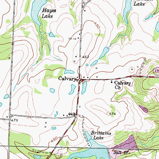 Topographic Map of Calvary, TX