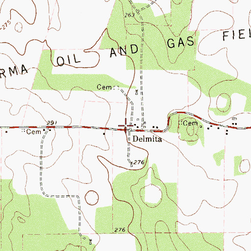 Topographic Map of Delmita, TX