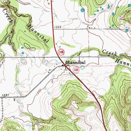 Topographic Map of Hannibal, TX