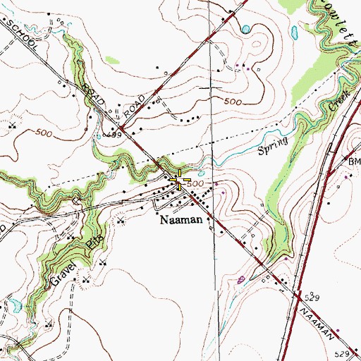 Topographic Map of Naaman, TX
