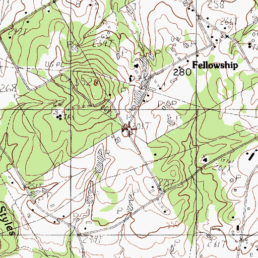 Topographic Map of Fellowship, TX