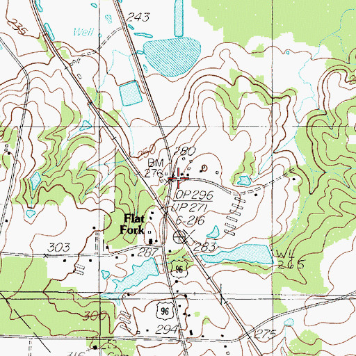 Topographic Map of Flat Fork, TX