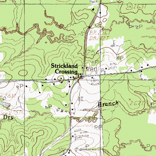 Topographic Map of Strickland Crossing, TX