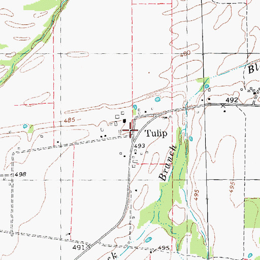 Topographic Map of Tulip, TX