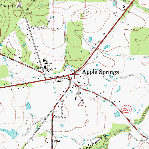 Topographic Map of Apple Springs, TX
