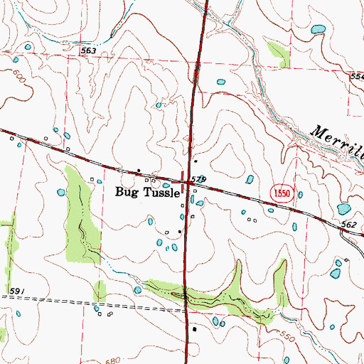 Topographic Map of Bug Tussle, TX