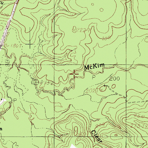 Topographic Map of Clear Branch, TX