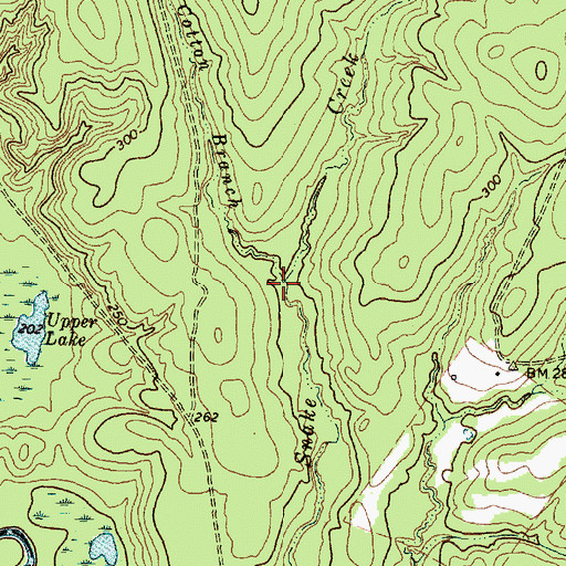 Topographic Map of Cotton Branch, TX