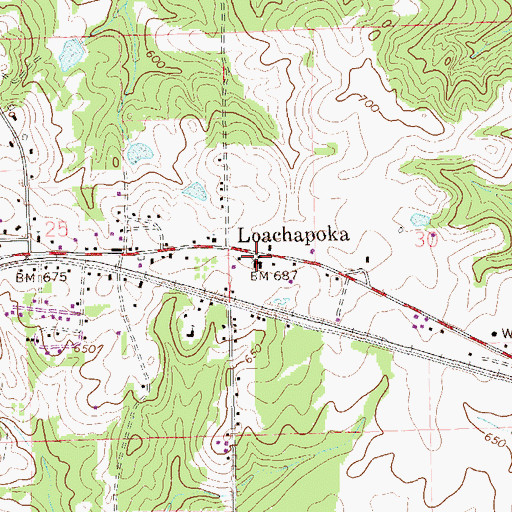 Topographic Map of Loachapoka School, AL