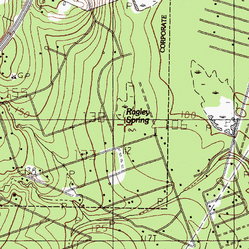 Topographic Map of Ragley Spring, TX