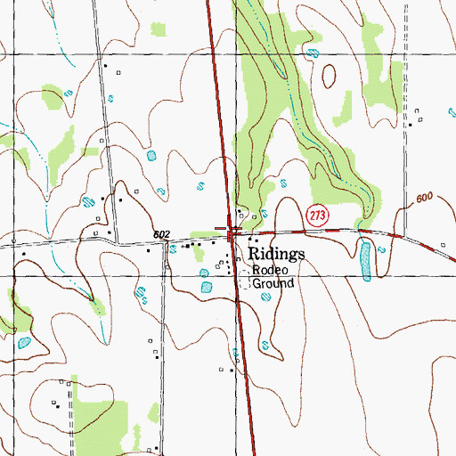 Topographic Map of Ridings, TX