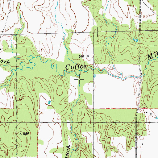 Topographic Map of Wild Horse Branch, TX