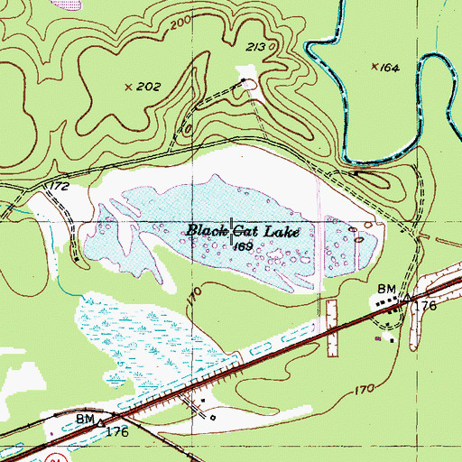 Topographic Map of Black Cat Lake, TX