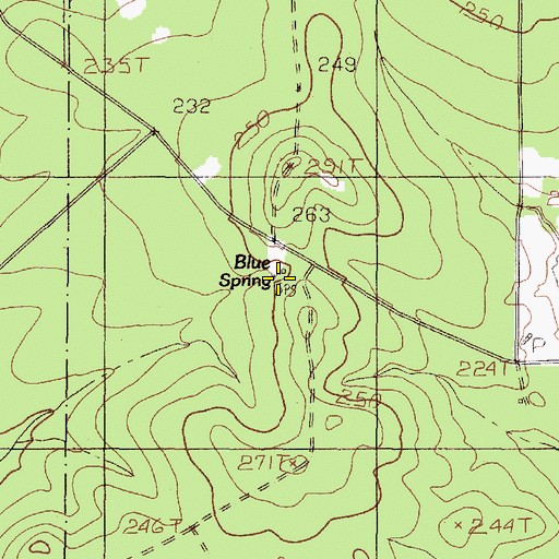 Topographic Map of Blue Spring, TX