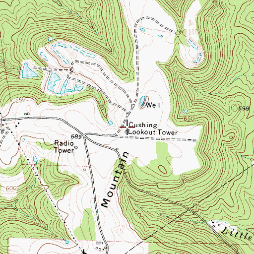 Topographic Map of Cushing Lookout Tower, TX