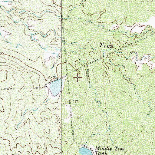 Topographic Map of KVOZ-AM (Laredo), TX