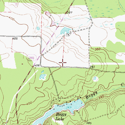 Topographic Map of Holly Lake Ranch Airport, TX