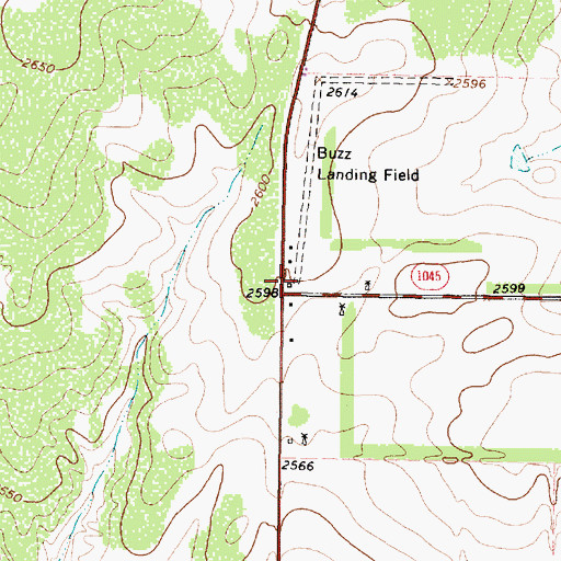 Topographic Map of Buzz Field Airport (historical), TX