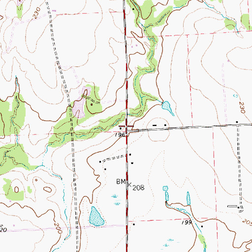 Topographic Map of Pine Island, TX