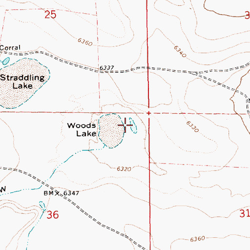 Topographic Map of Woods Lake, AZ