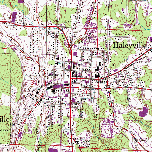 Topographic Map of Central Grammer School (historical), AL
