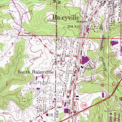 Topographic Map of South Haleyville Grammar School (historical), AL