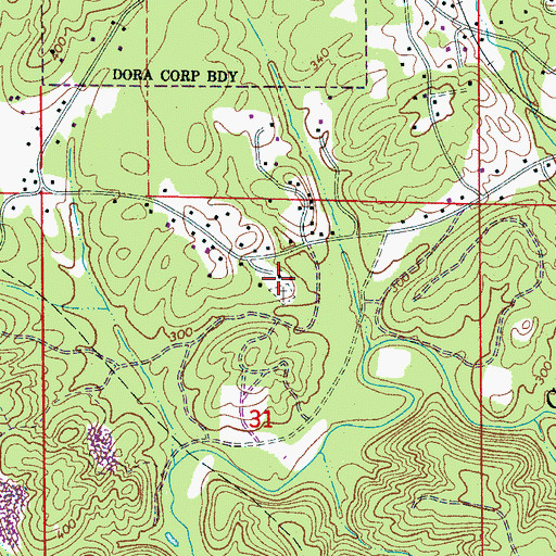 Topographic Map of Bible Church of God, AL