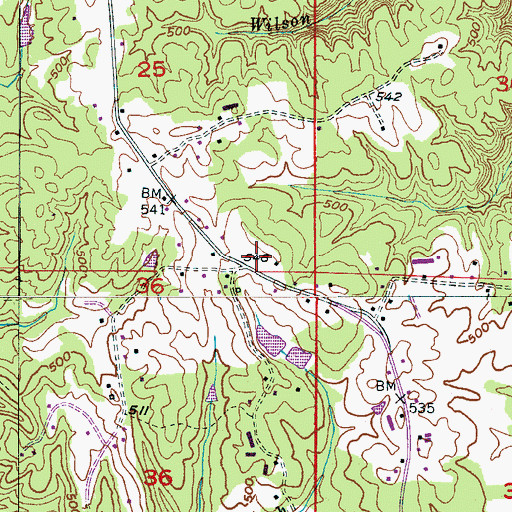 Topographic Map of Piney Woods Church, AL