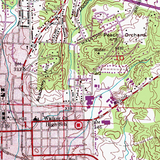 Topographic Map of Walker College, AL