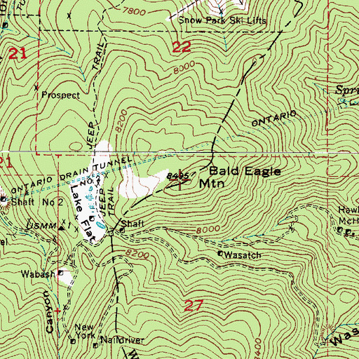 Topographic Map of Bald Eagle Mountain, UT