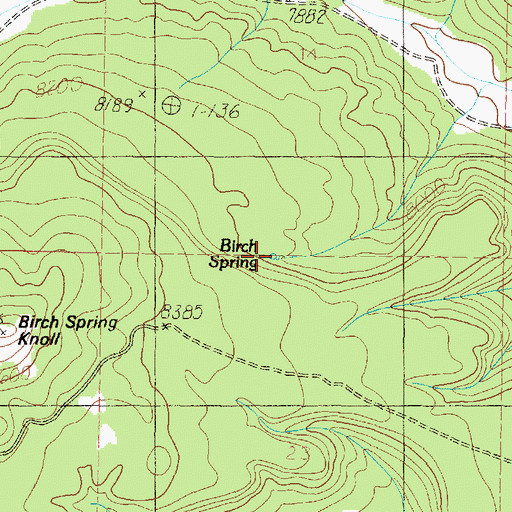 Topographic Map of Birch Spring, UT