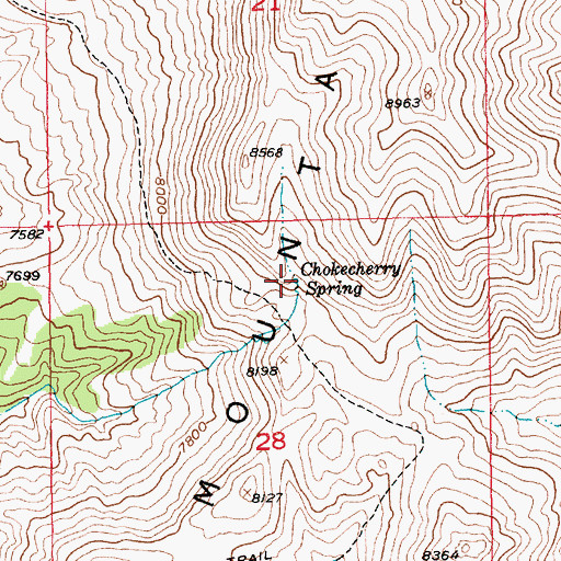 Topographic Map of Chokecherry Spring, UT