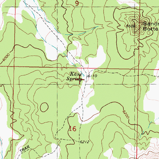 Topographic Map of Kane Spring, UT