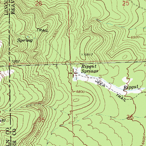Topographic Map of Ripgut Springs, UT