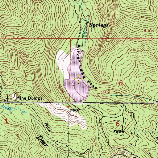 Topographic Map of Silver Lake Flat, UT