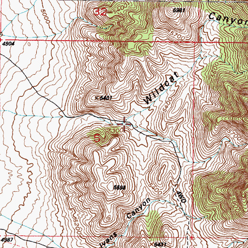 Topographic Map of Wildcat Canyon, UT