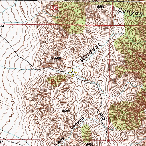 Topographic Map of Wildcat Canyon, UT