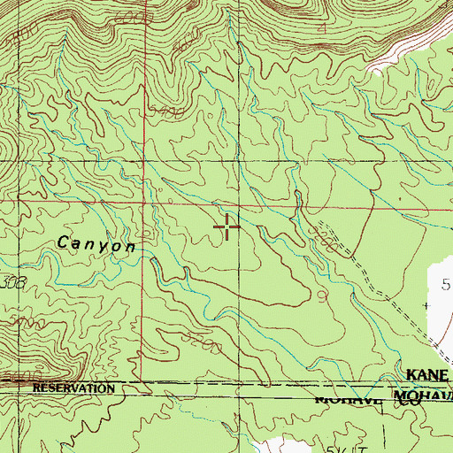 Topographic Map of Cougar Canyon, UT