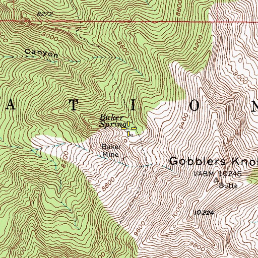 Topographic Map of Baker Spring, UT