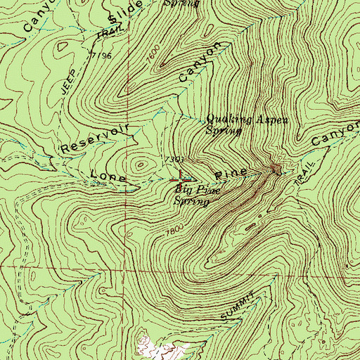 Topographic Map of Big Pine Spring, UT