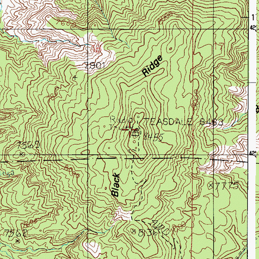 Topographic Map of Black Ridge, UT