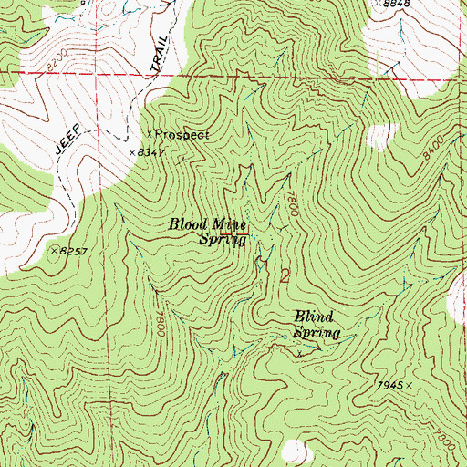 Topographic Map of Blood Mine Spring, UT