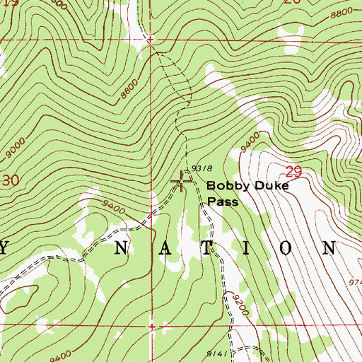 Topographic Map of Bobby Duke Pass, UT