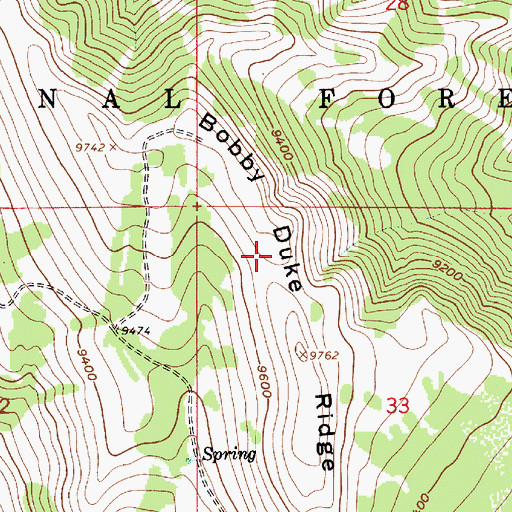 Topographic Map of Bobby Duke Ridge, UT